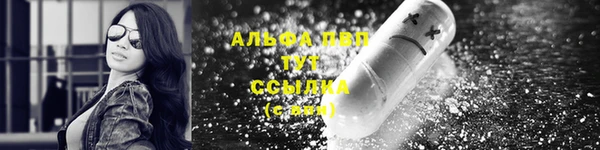 дживик Сатка