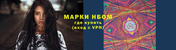 сатива Горняк
