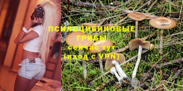 шишки Гусь-Хрустальный