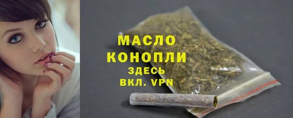шишки Гусь-Хрустальный
