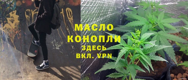 сатива Горняк