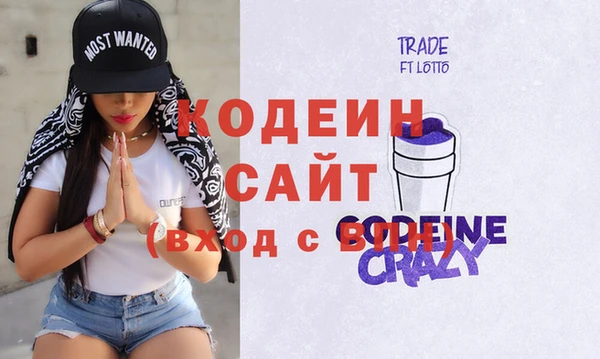 шишки Гусь-Хрустальный