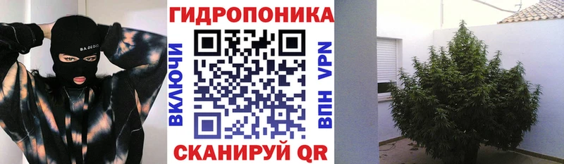 Бошки Шишки семена  Купить где  Сосенский 